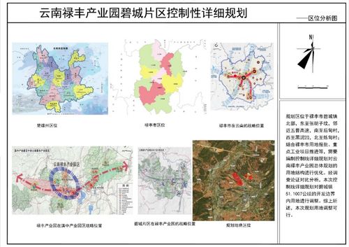 云南禄丰产业园区碧城片区控制性详细规划审查前公示